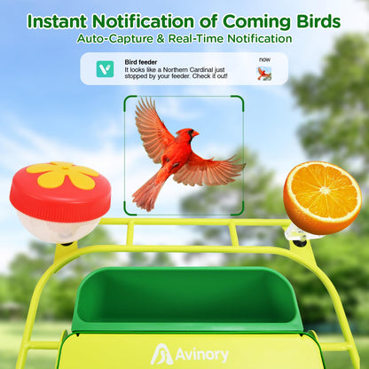 Avinory Metal Smart Bird Feeder With 2.5K HD Camera