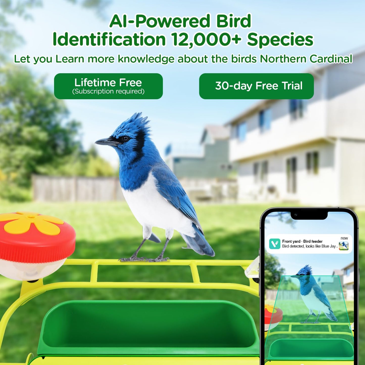 Avinory Metal Smart Bird Feeder With 2.5K HD Camera